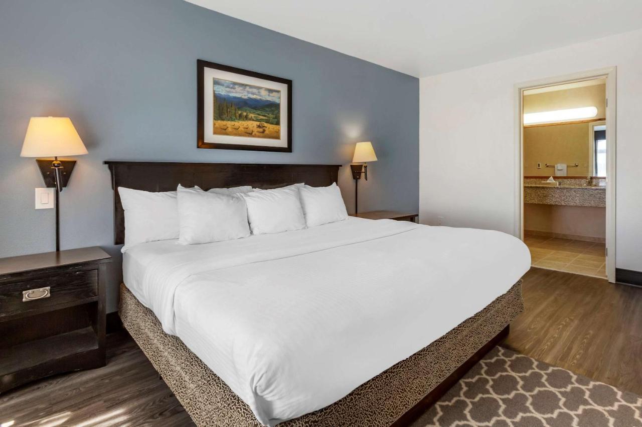 King Room - Non-Smoking,1156517355:JPEG